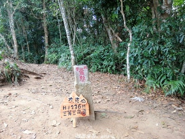 IMG_20210301_142027.jpg IMG_20210301_142027.jpg