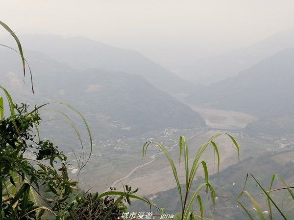 IMG_20210301_141612.jpg IMG_20210301_141612.jpg