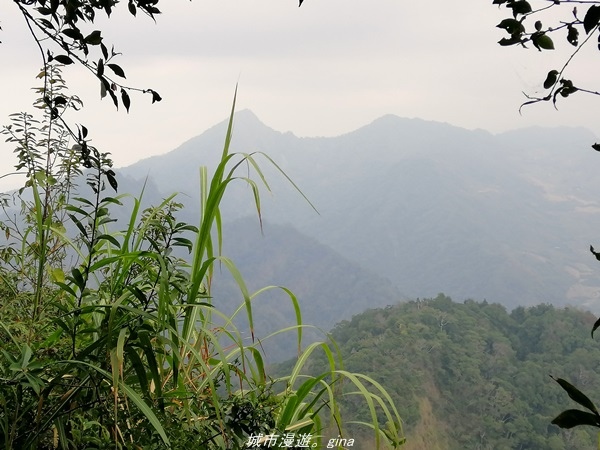 IMG_20210301_141343.jpg IMG_20210301_141343.jpg