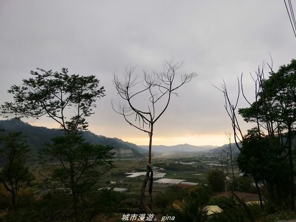 IMG_20210301_163029.jpg IMG_20210301_163029.jpg