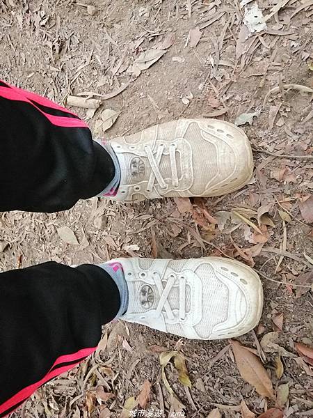 IMG_20210301_155220.jpg IMG_20210301_155220.jpg