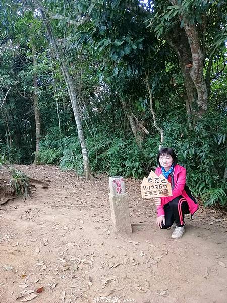 IMG_20210301_142057.jpg IMG_20210301_142057.jpg