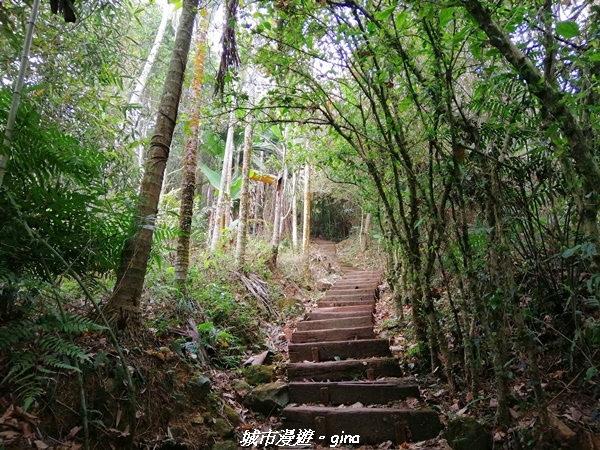 IMG_20210306_105704.jpg IMG_20210306_105704.jpg