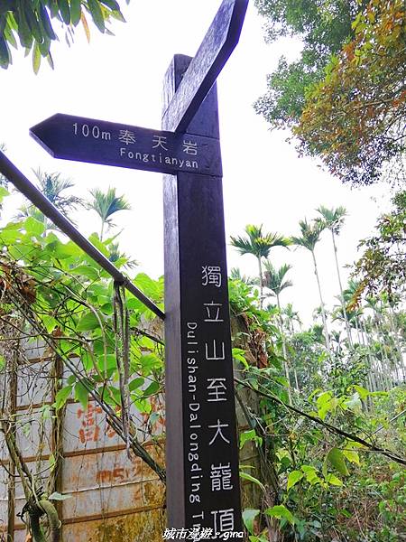 【嘉義竹崎】山林野宴之步道健行。 奉天岩~大巃頂步道