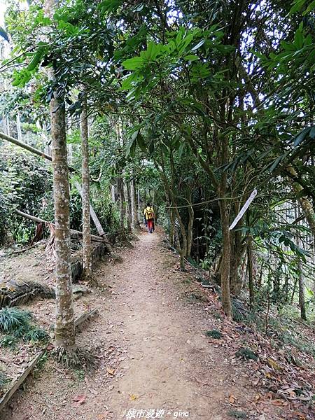 IMG_20210306_130019.jpg IMG_20210306_130019.jpg