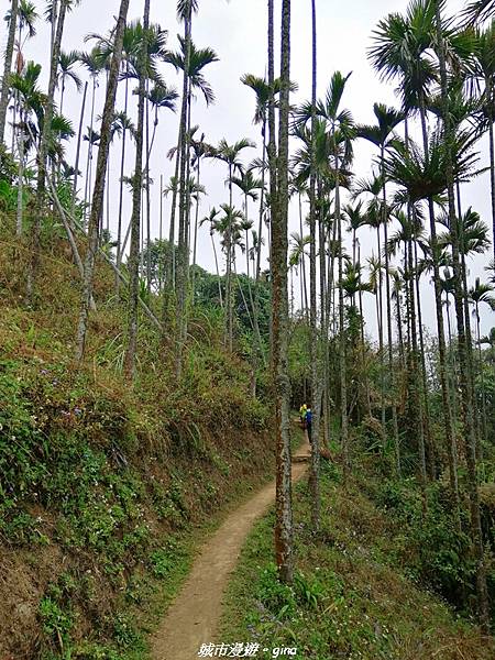 IMG_20210306_130502.jpg IMG_20210306_130502.jpg