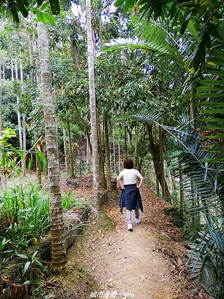 IMG_20210306_130043.jpg IMG_20210306_130043.jpg