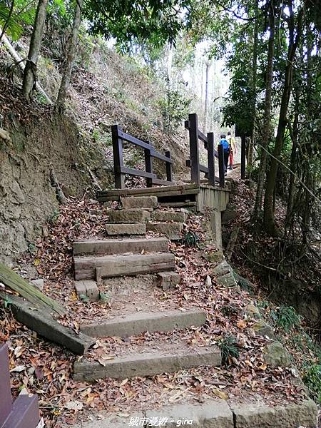 IMG_20210306_130117.jpg IMG_20210306_130117.jpg