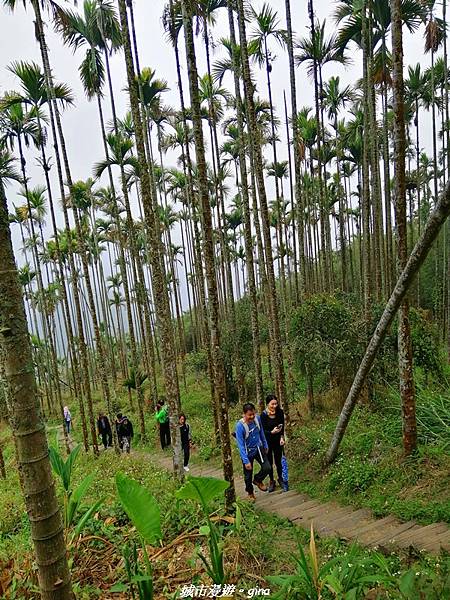 IMG_20210306_130436.jpg IMG_20210306_130436.jpg