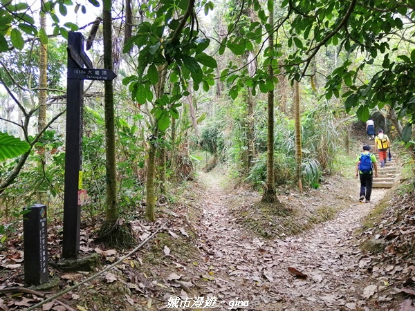 IMG_20210306_131317.jpg IMG_20210306_131317.jpg