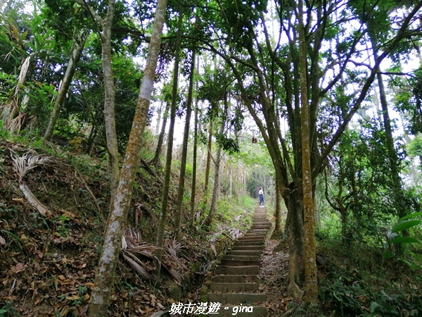 IMG_20210306_131144.jpg IMG_20210306_131144.jpg