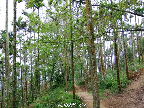 IMG_20210306_131900.jpg IMG_20210306_131900.jpg