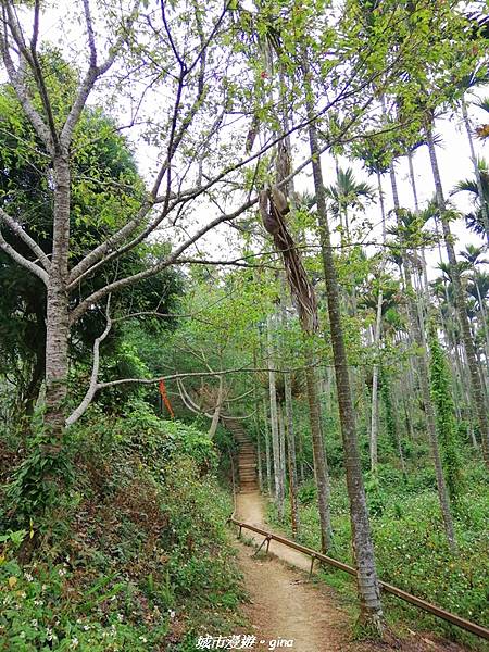 IMG_20210306_131910.jpg IMG_20210306_131910.jpg