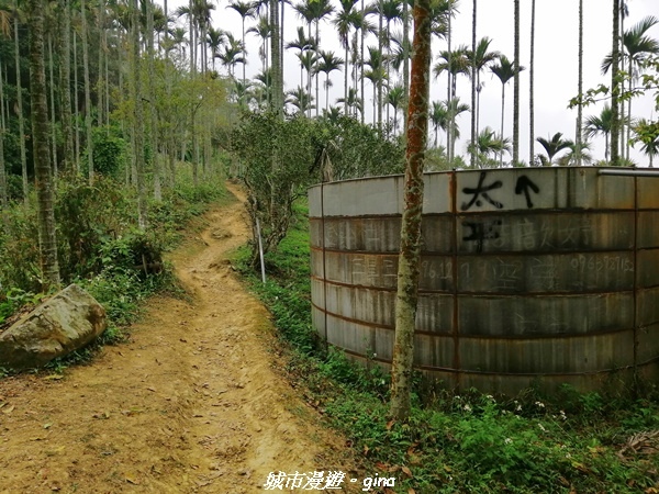 IMG_20210306_132232.jpg IMG_20210306_132232.jpg