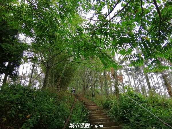 【嘉義竹崎】山林野宴之步道健行。 奉天岩~大巃頂步道