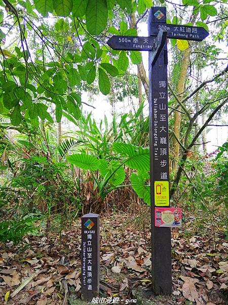 IMG_20210306_131327.jpg IMG_20210306_131327.jpg