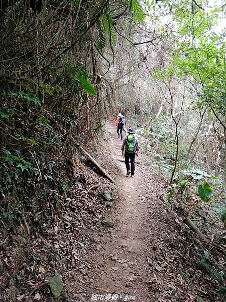 IMG_20210306_132843.jpg IMG_20210306_132843.jpg