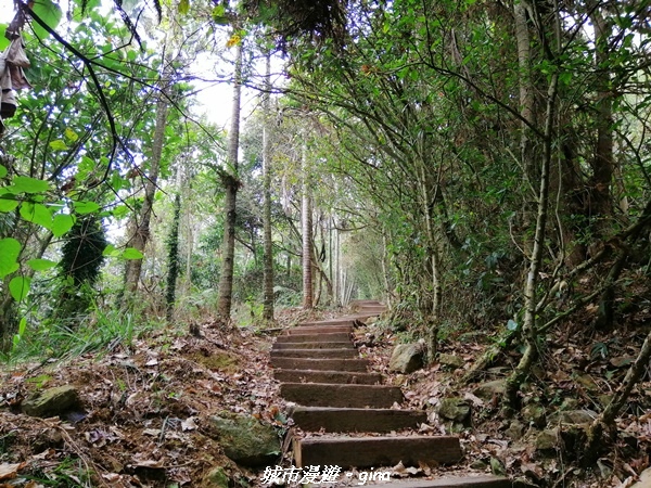 IMG_20210306_133325.jpg IMG_20210306_133325.jpg