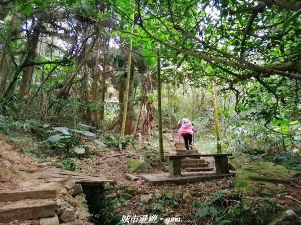 IMG_20210306_132959.jpg IMG_20210306_132959.jpg