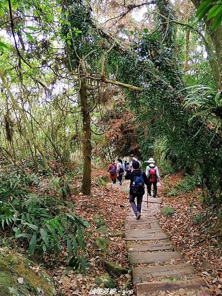 IMG_20210306_133227.jpg IMG_20210306_133227.jpg