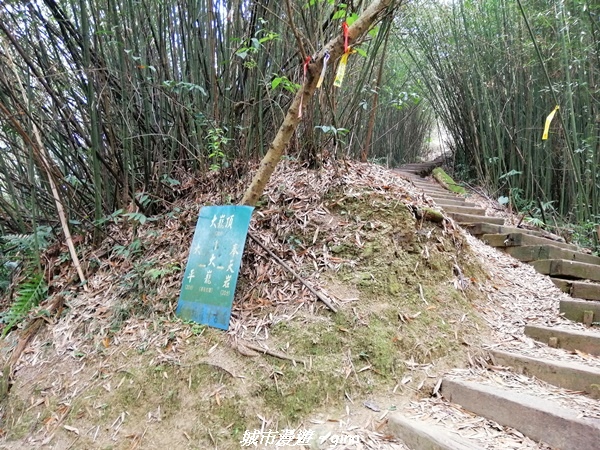 IMG_20210306_133548.jpg IMG_20210306_133548.jpg