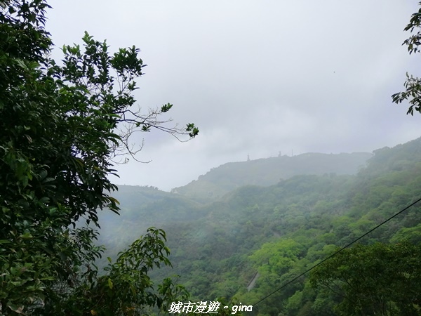 IMG_20210306_134944.jpg IMG_20210306_134944.jpg