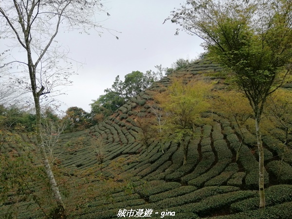 【嘉義竹崎】山林野宴之步道健行。 奉天岩~大巃頂步道