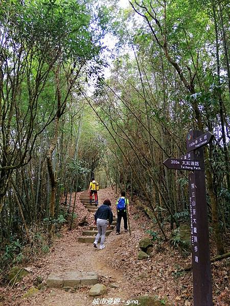 IMG_20210306_134704.jpg IMG_20210306_134704.jpg