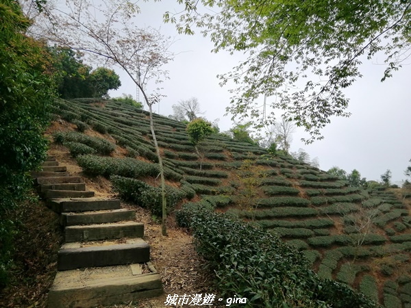 IMG_20210306_135014.jpg IMG_20210306_135014.jpg