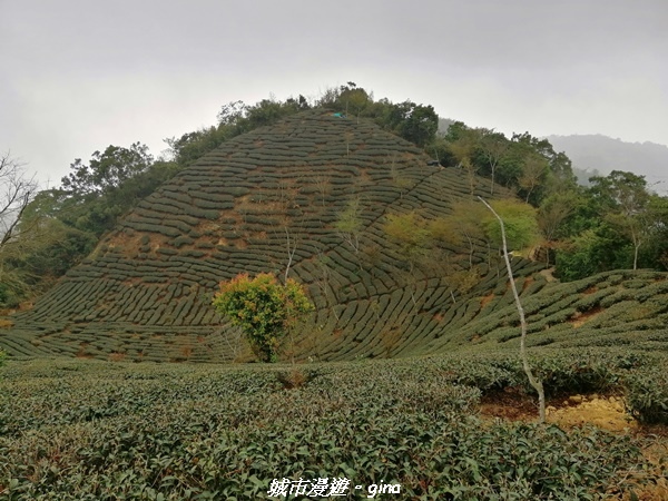 IMG_20210306_135145.jpg IMG_20210306_135145.jpg