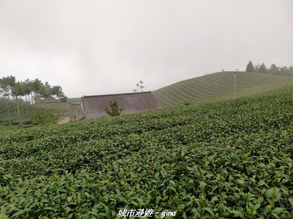 IMG_20210306_135627.jpg IMG_20210306_135627.jpg