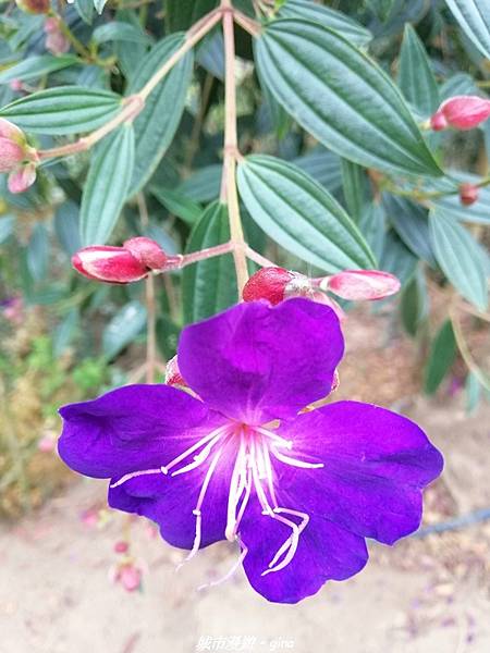 IMG_20210306_135440.jpg IMG_20210306_135440.jpg