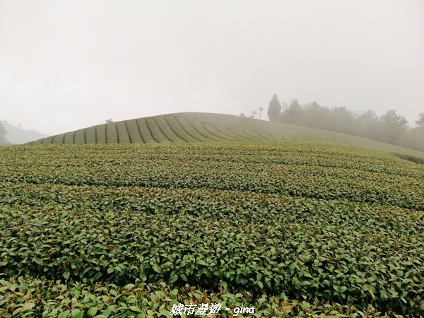 IMG_20210306_144624.jpg IMG_20210306_144624.jpg