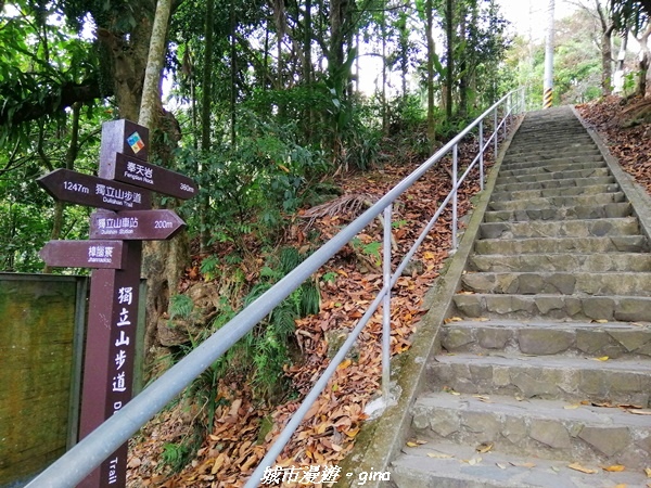 【嘉義竹崎】小百岳集起來。 No58小百岳。 獨立山步道