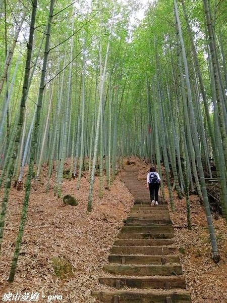 FB_IMG_1615691347323.jpg FB_IMG_1615691347323.jpg