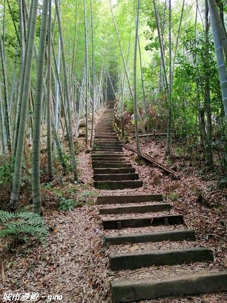 【雲林古坑】絕美孟宗竹林有如置身武俠電影場景。嘉南雲峰x石壁