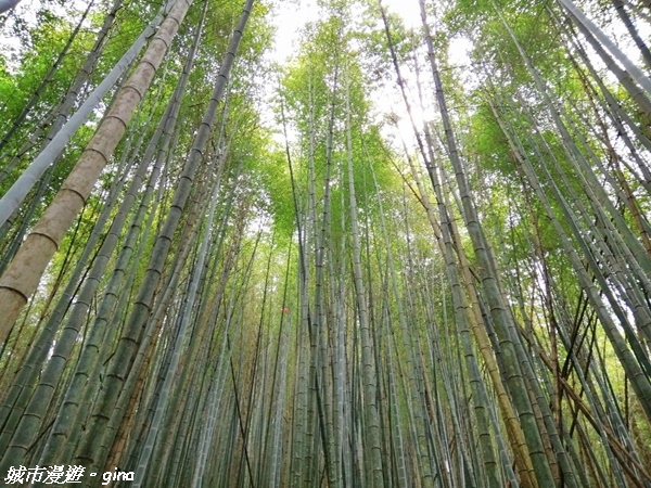 FB_IMG_1615691355434.jpg FB_IMG_1615691355434.jpg