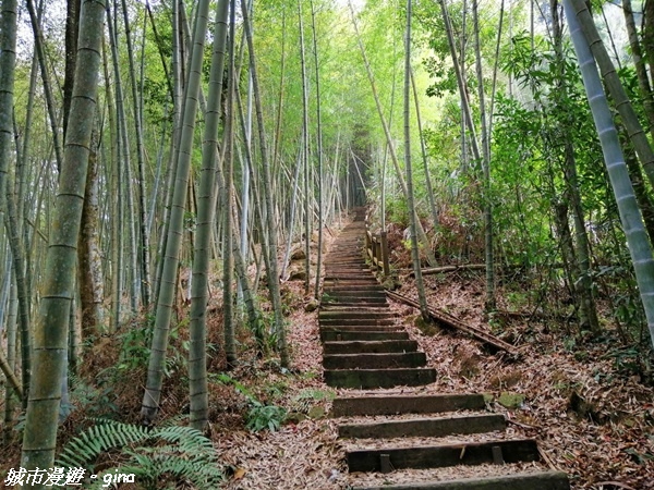 FB_IMG_1615691355432.jpg FB_IMG_1615691355432.jpg