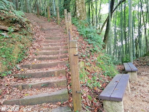 【雲林古坑】絕美孟宗竹林有如置身武俠電影場景。嘉南雲峰x石壁