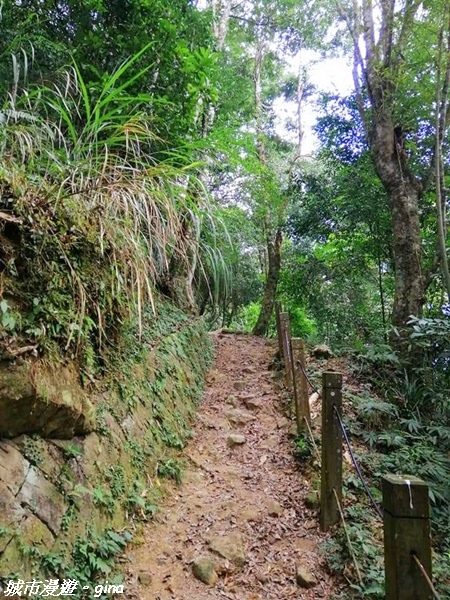 FB_IMG_1615691360531.jpg FB_IMG_1615691360531.jpg