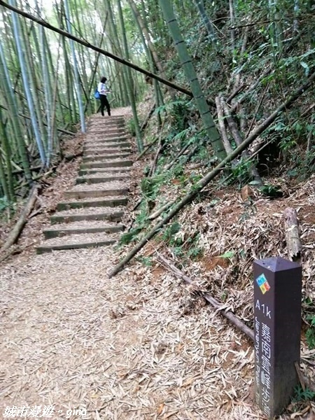 FB_IMG_1615691367892.jpg FB_IMG_1615691367892.jpg