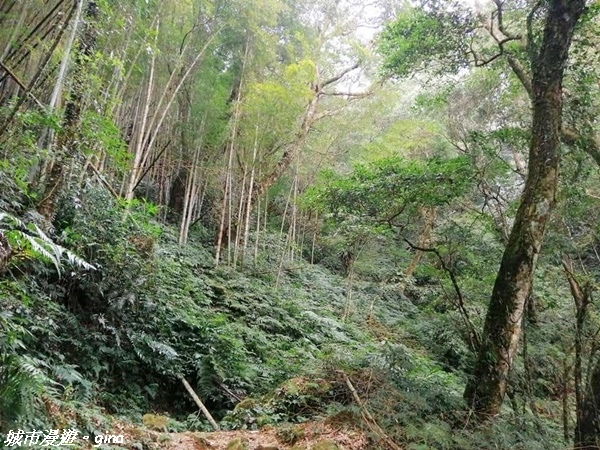 FB_IMG_1615691365508.jpg FB_IMG_1615691365508.jpg