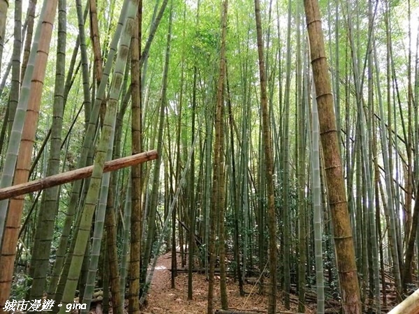 FB_IMG_1615691379236.jpg FB_IMG_1615691379236.jpg