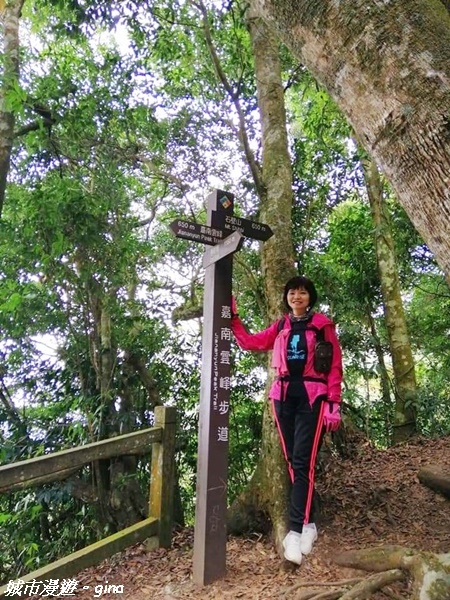 【雲林古坑】絕美孟宗竹林有如置身武俠電影場景。嘉南雲峰x石壁