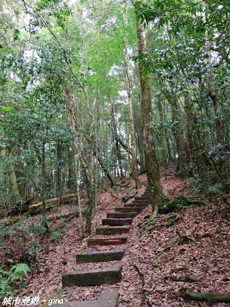 FB_IMG_1615691381520.jpg FB_IMG_1615691381520.jpg