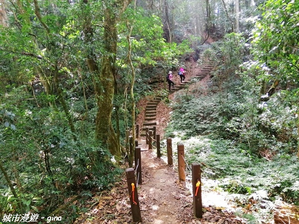 FB_IMG_1615691381519.jpg FB_IMG_1615691381519.jpg