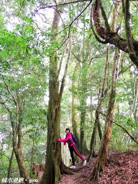 FB_IMG_1615691388694.jpg FB_IMG_1615691388694.jpg