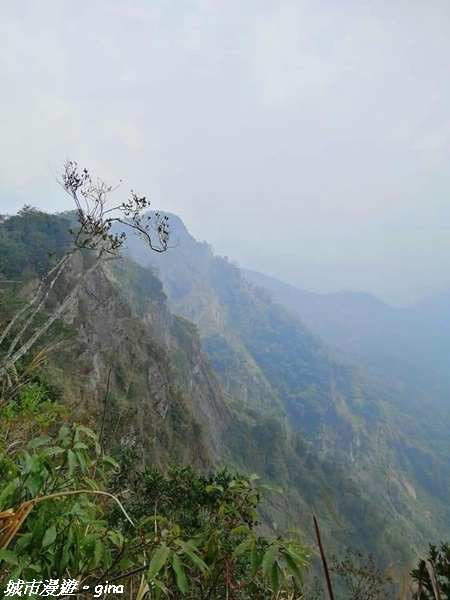 【雲林古坑】絕美孟宗竹林有如置身武俠電影場景。嘉南雲峰x石壁