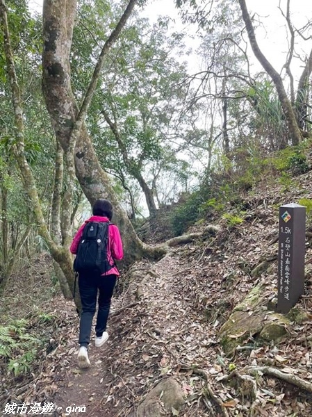 【雲林古坑】絕美孟宗竹林有如置身武俠電影場景。嘉南雲峰x石壁