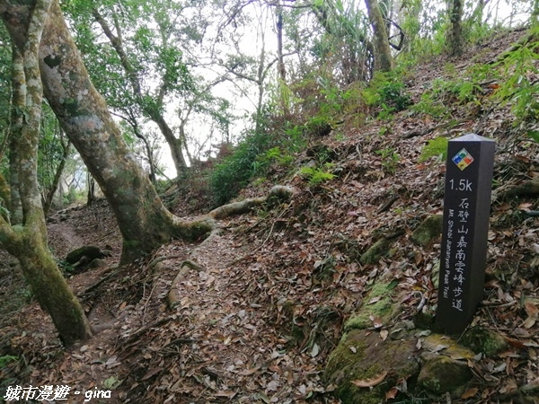 【雲林古坑】絕美孟宗竹林有如置身武俠電影場景。嘉南雲峰x石壁